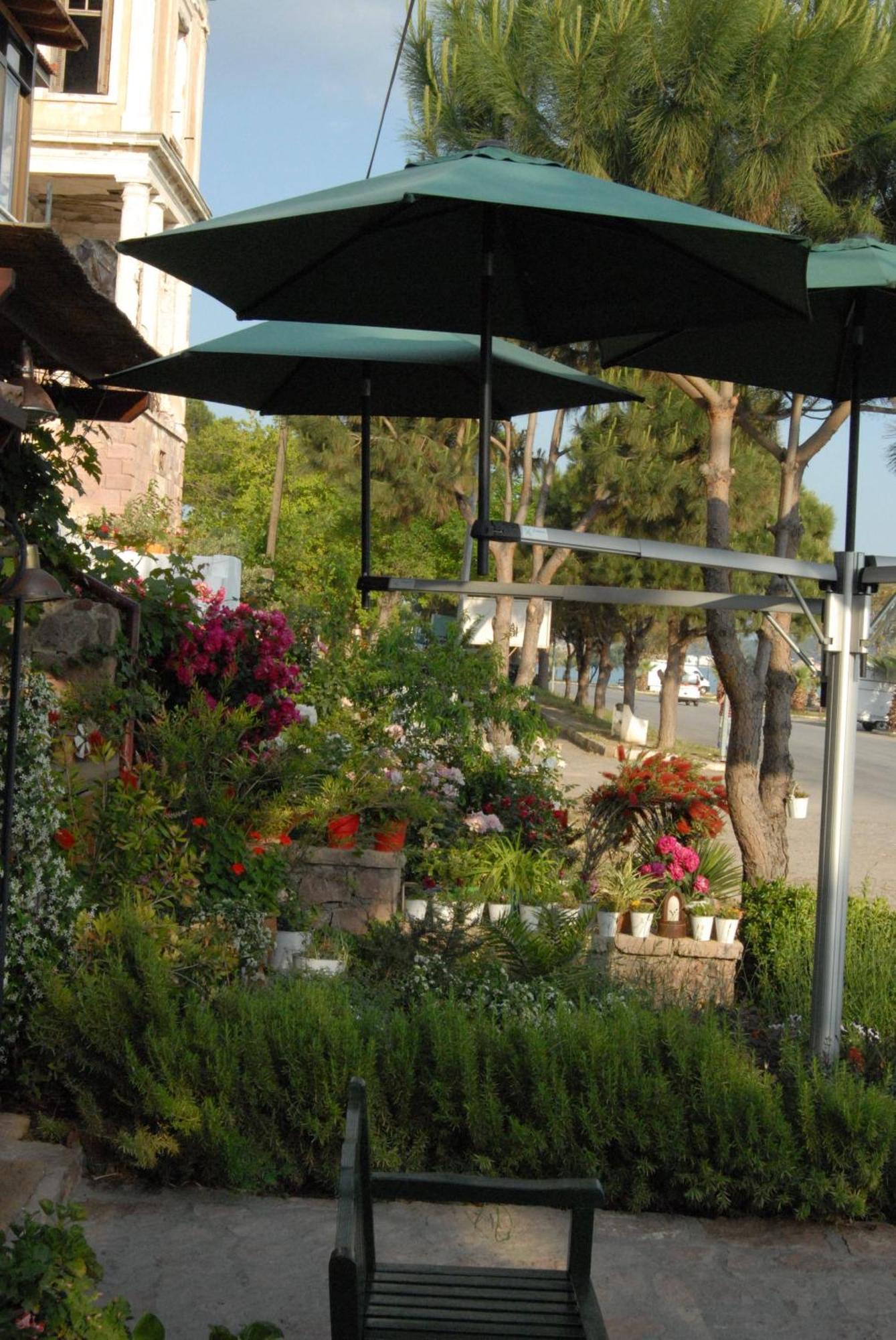Aliye Hanim Hotel Ayvalik Luaran gambar